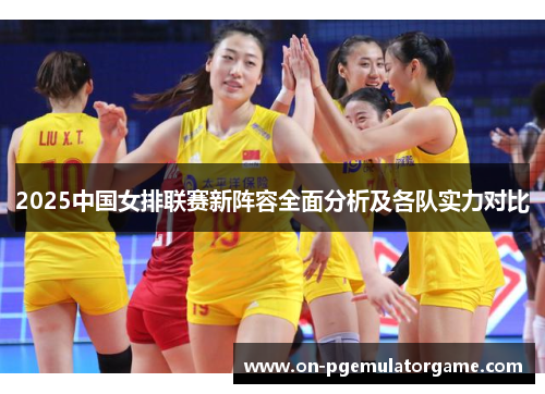 2025中国女排联赛新阵容全面分析及各队实力对比 2025中国女排联赛新阵容全面分析及各队实力对比