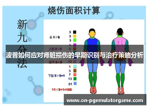 波普如何应对肾脏损伤的早期识别与治疗策略分析 波普如何应对肾脏损伤的早期识别与治疗策略分析