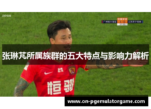 张琳芃所属族群的五大特点与影响力解析