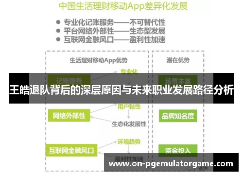 王皓退队背后的深层原因与未来职业发展路径分析 王皓退队背后的深层原因与未来职业发展路径分析