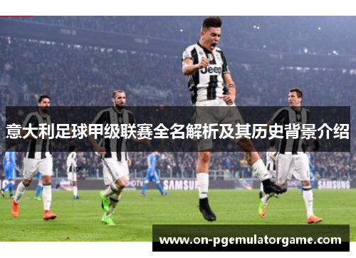 意大利足球甲级联赛全名解析及其历史背景介绍