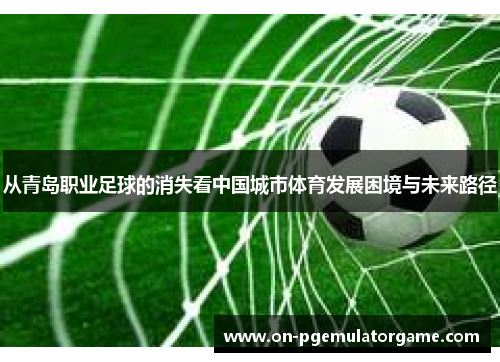 从青岛职业足球的消失看中国城市体育发展困境与未来路径 从青岛职业足球的消失看中国城市体育发展困境与未来路径