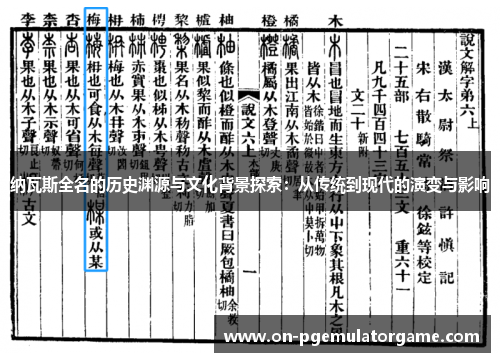 纳瓦斯全名的历史渊源与文化背景探索：从传统到现代的演变与影响