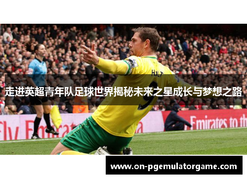 走进英超青年队足球世界揭秘未来之星成长与梦想之路