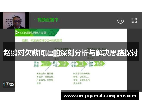 赵鹏对欠薪问题的深刻分析与解决思路探讨