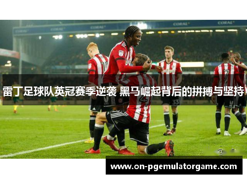 雷丁足球队英冠赛季逆袭 黑马崛起背后的拼搏与坚持